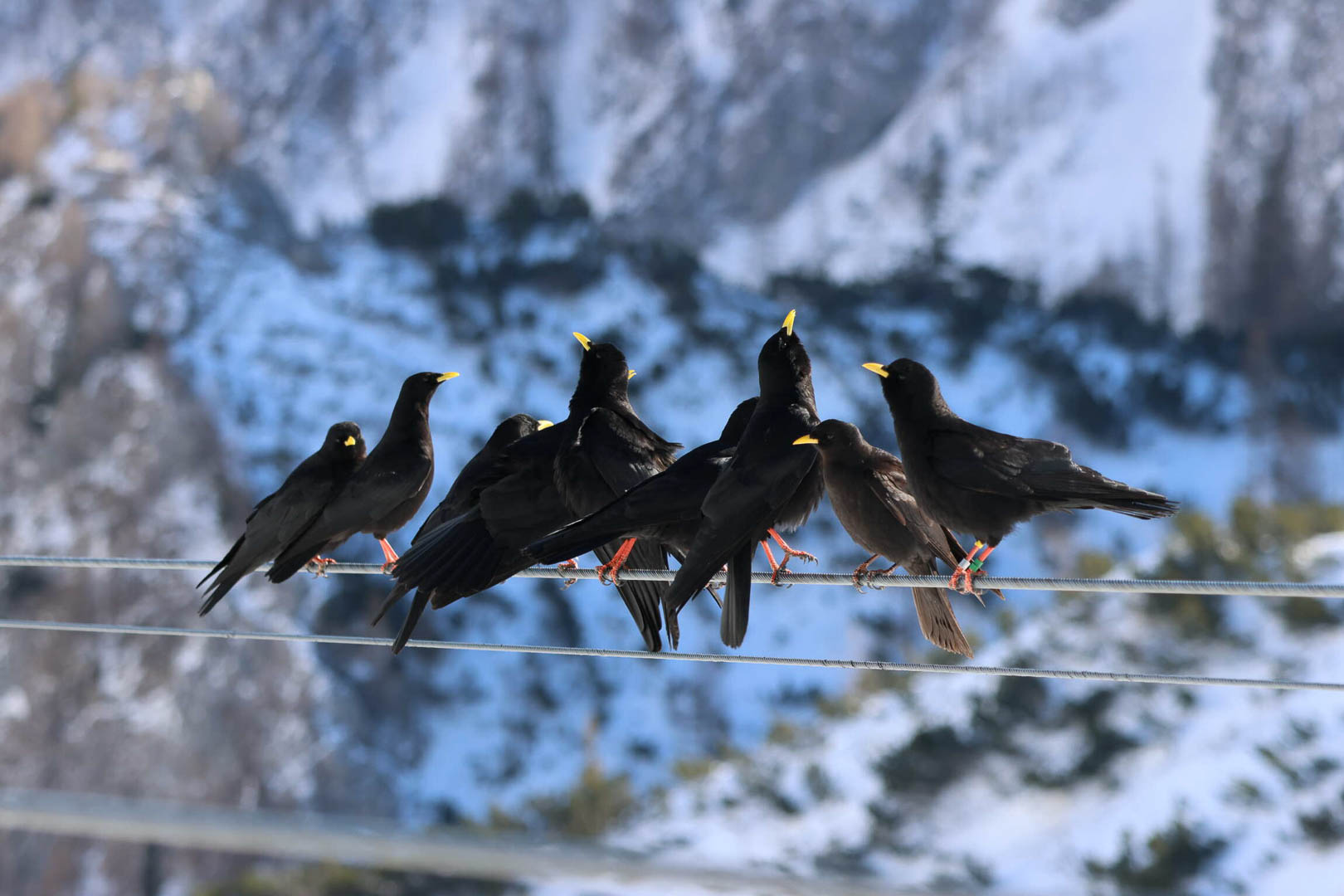Mehr über den Artikel erfahren Das ist der Gipfel